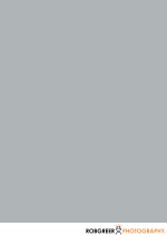 Slate Gray