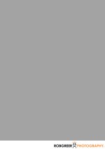 Gray Sky