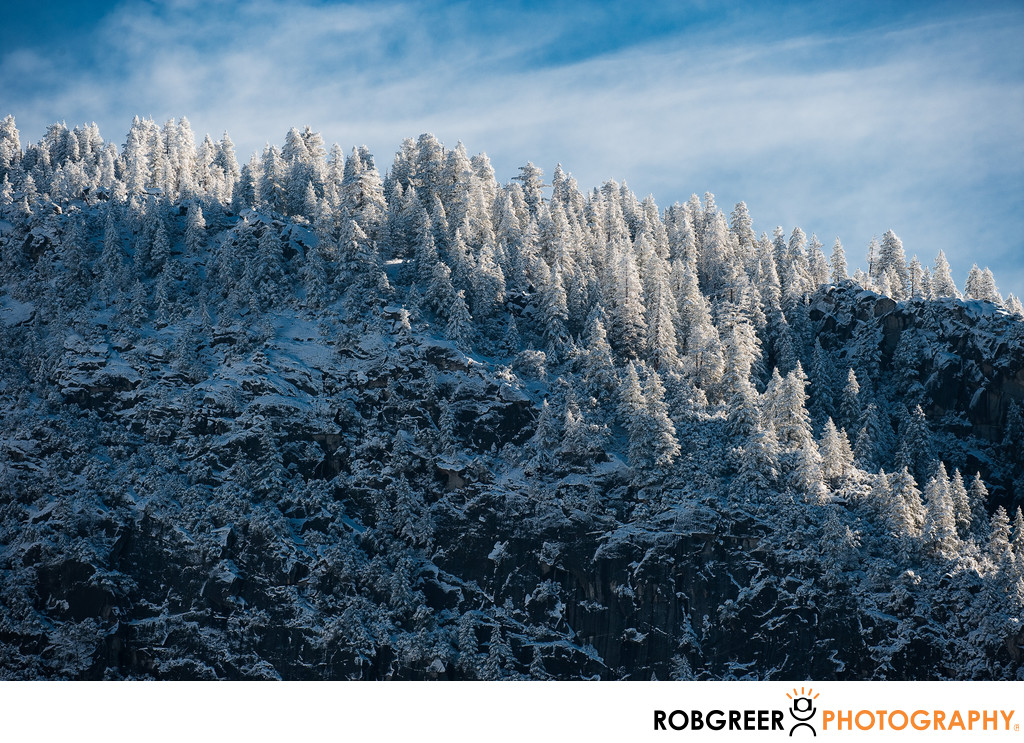 Winter Mountain Treeline in Yosemite National Park