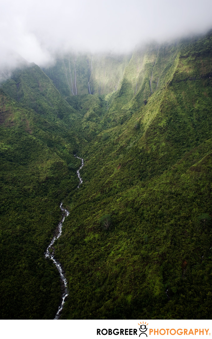 Aerial View of Jungle Canyon in Kauai - Landscape Photography - Rob