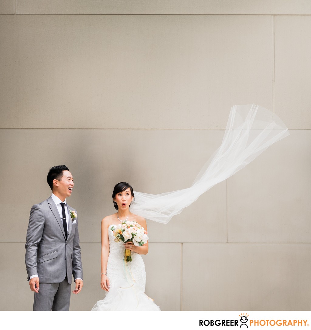 Bride's Wedding Veil Flies