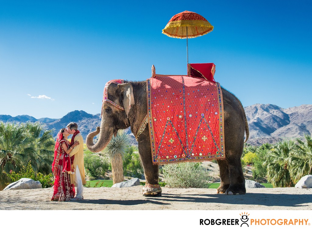 Bride And Groom Baraat Elephant Portrait Houston Wedding Photography Rob Greer Photography 6226