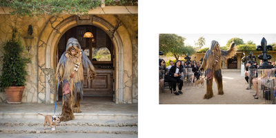 Chewbacca Walks Family Dog During Wedding Processional