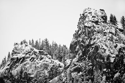 Jagged Mountain Pass with Snowy Trees in Yosemite