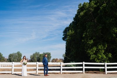 Horse Ranch Wedding Portrait