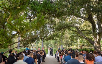 Oak Tree Outdoor Wedding Ceremony