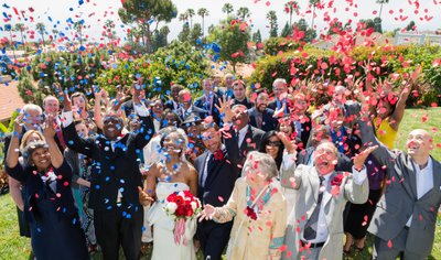 Wedding Guest Confetti Celebration