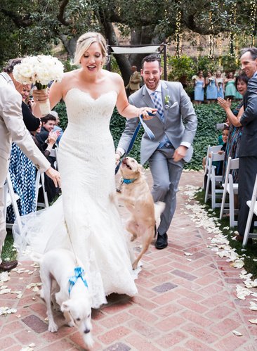 Wedding Ceremony Recessional: Pets