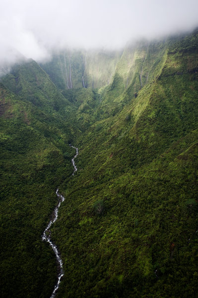 Aerial View of Jungle Canyon in Kauai