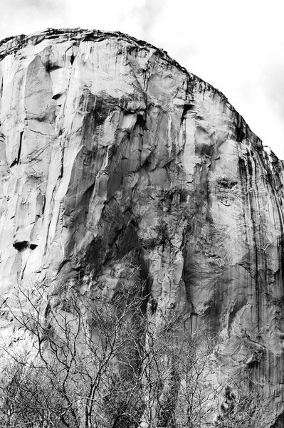 Rising Mountain Pushed by Trees in Yosemite